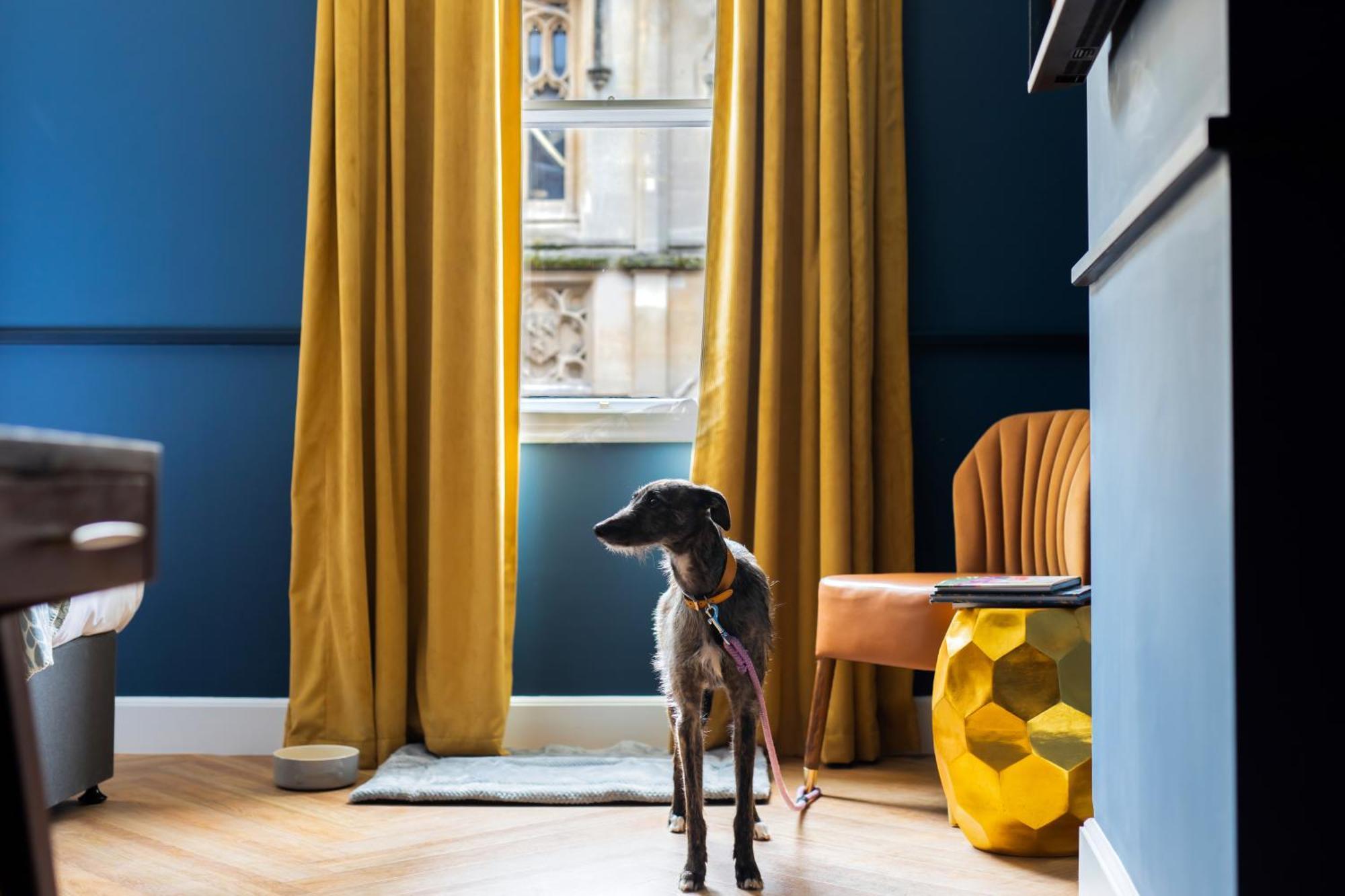 Hotel Hort'S Townhouse Bristol Exterior foto